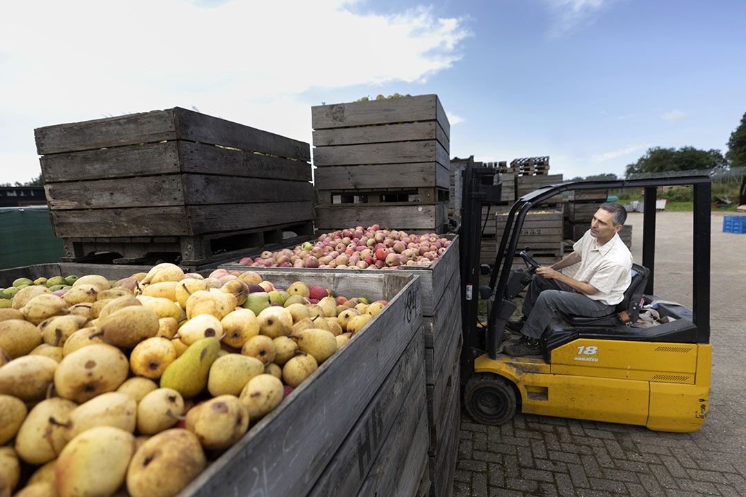 Inkomens fruittelers