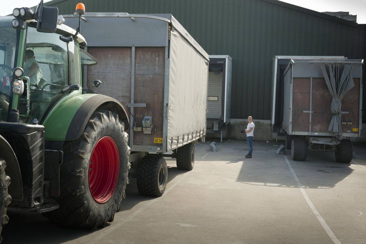 Groenten voor de snijderijen. Er zal discussie ontstaan over de schade, denkt retaildeskundige Paul Moers. Foto: Lex Salverda.