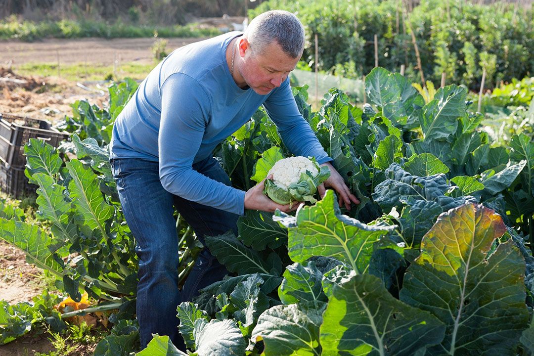 Een kwart van de tuinbouwers in het Verenigd Koninkrijk heeft geen of weinig vertrouwen in de toekomst. - Foto: Canva