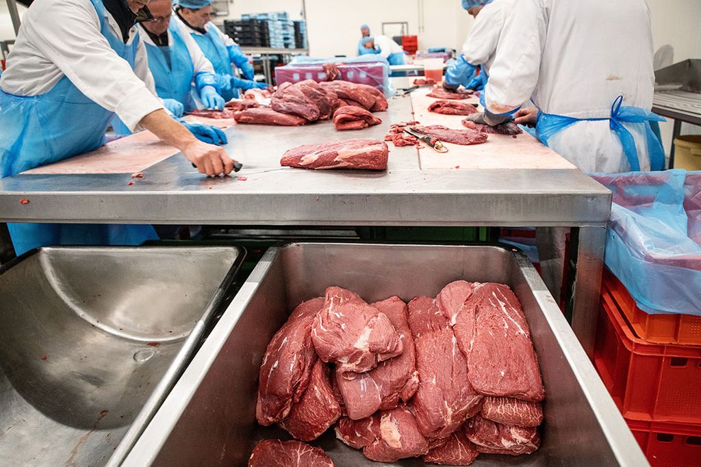 Het streven is om zo veel mogelijk medewerkers die met levende dieren werken in eigen dienst te nemen. Foto: Herbert Wiggerman