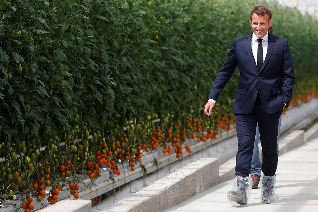 De Franse president Emmanuel Macron bezocht een tomatenkas in een gebied dat zwaar is getroffen door het coronavirus. - Foto: ANP