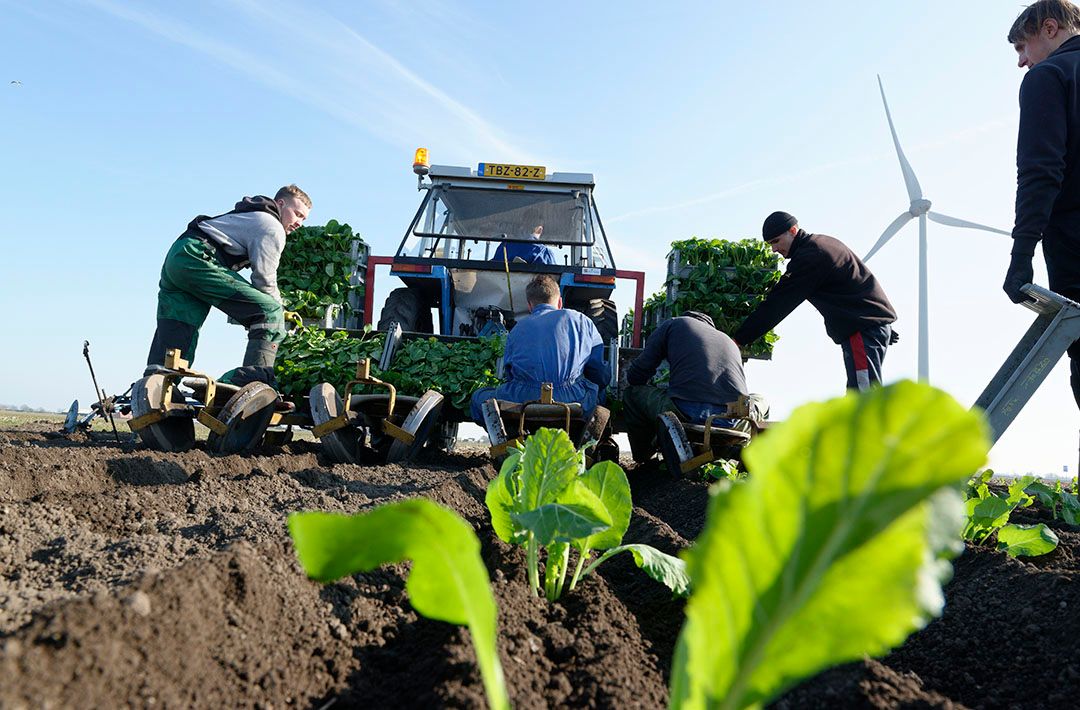 duurzame teelt meerprijs