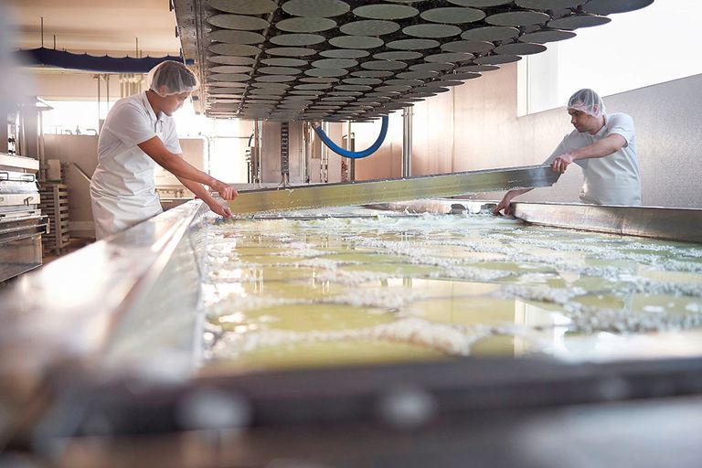 Kaasproductie in de kaasmakerij in Studer. Emmi behaalde vorig jaar goede resultaten voor de grotendeels boerenaandeelhouders. - Foto: Ueli Steingruber