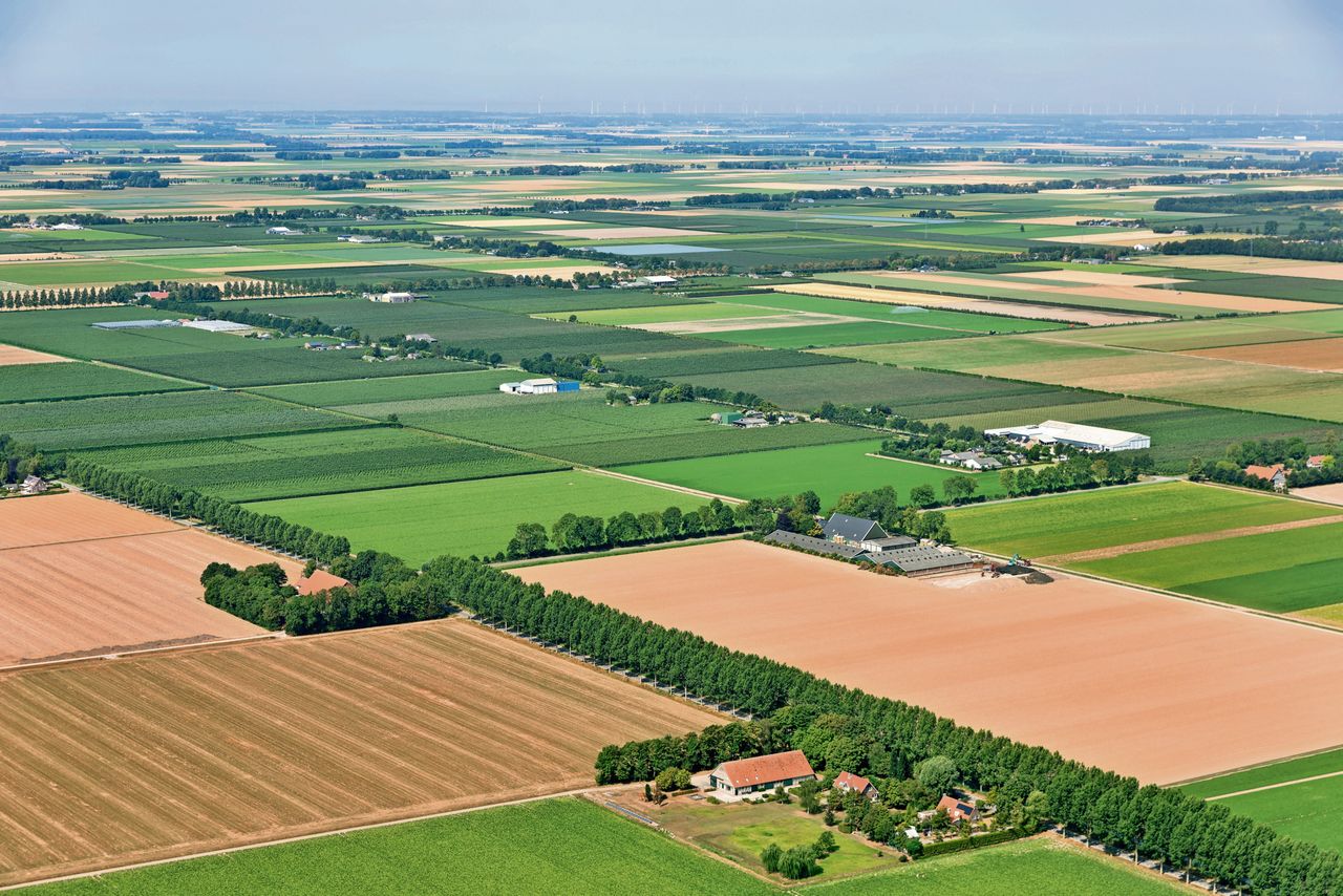 Agrarisch landschap in Flevoland. De grondprijs in Nederland is veel sterker gestegen dan de maximaal 5% die Rabobank vorige zomer verwachtte. Foto: Canva/Tromp Willem van Urk