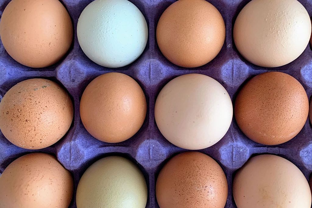 Lang niet alle eieren konden worden verkocht op de notering en veel eieren werden alleen dik onder de notering verkocht. Foto: Canva