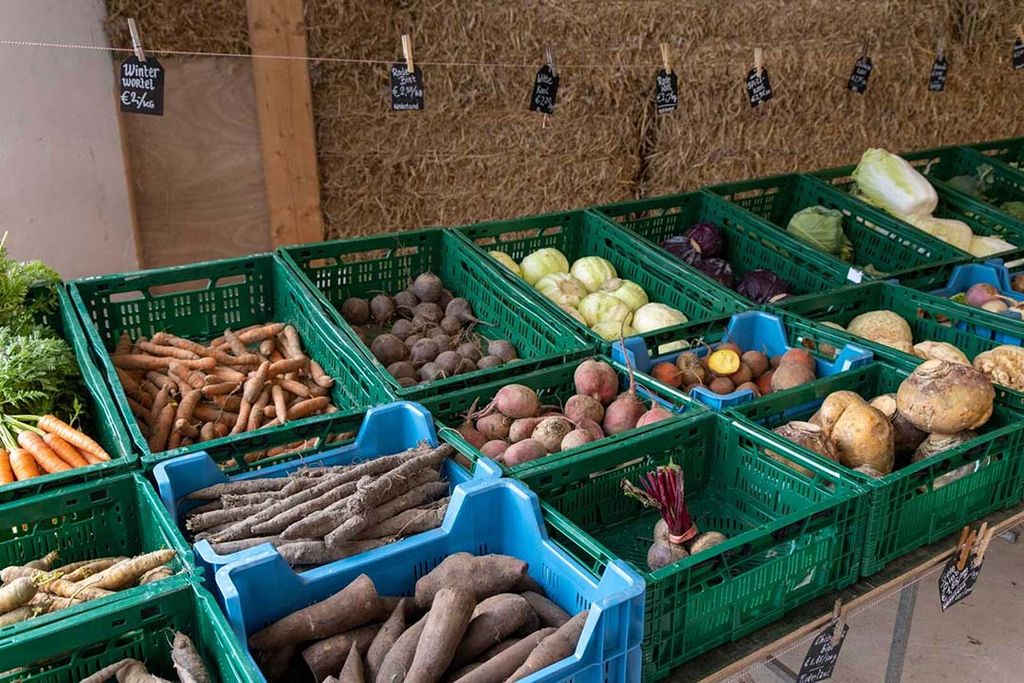 Tot dusverre draaide het korteketenproject BOER&NLekker van Agrifirm om verkoop bij collega-boerderijwinkels. - Foto: Koos Groenewold