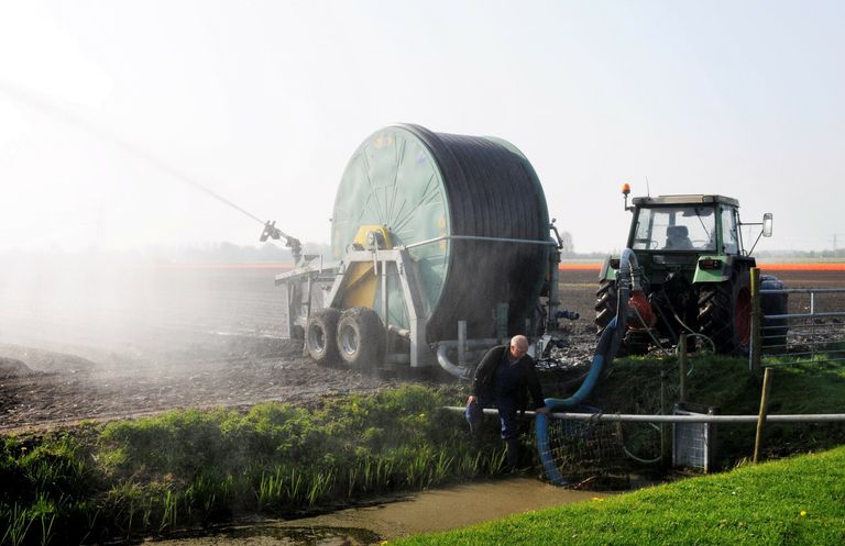 Beregenen uit de sloot kan een microbiologisch risico geven. - Foto: Wick Natzijl