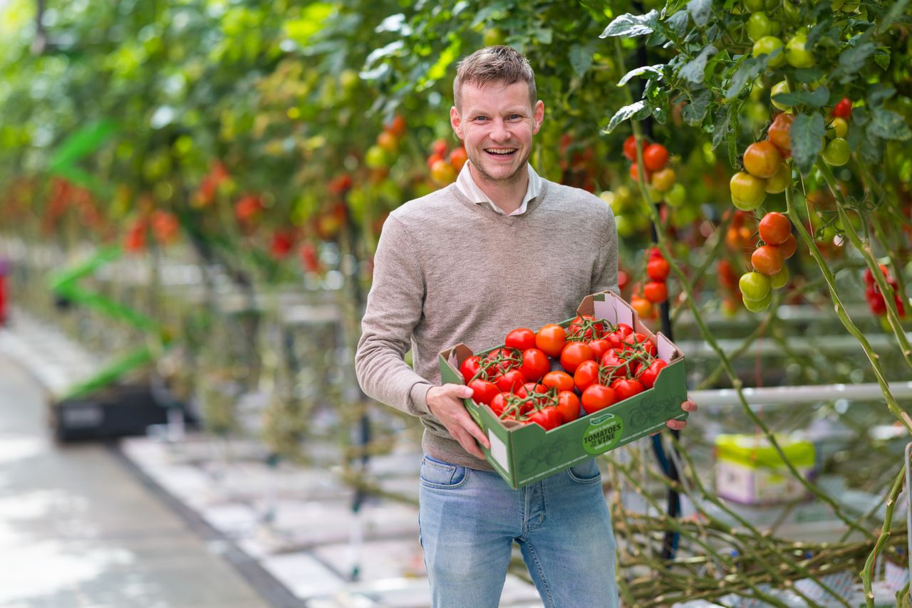 Joris Buijs, commercieel directeur van Noordhuys. – Foto’s: The Greenery