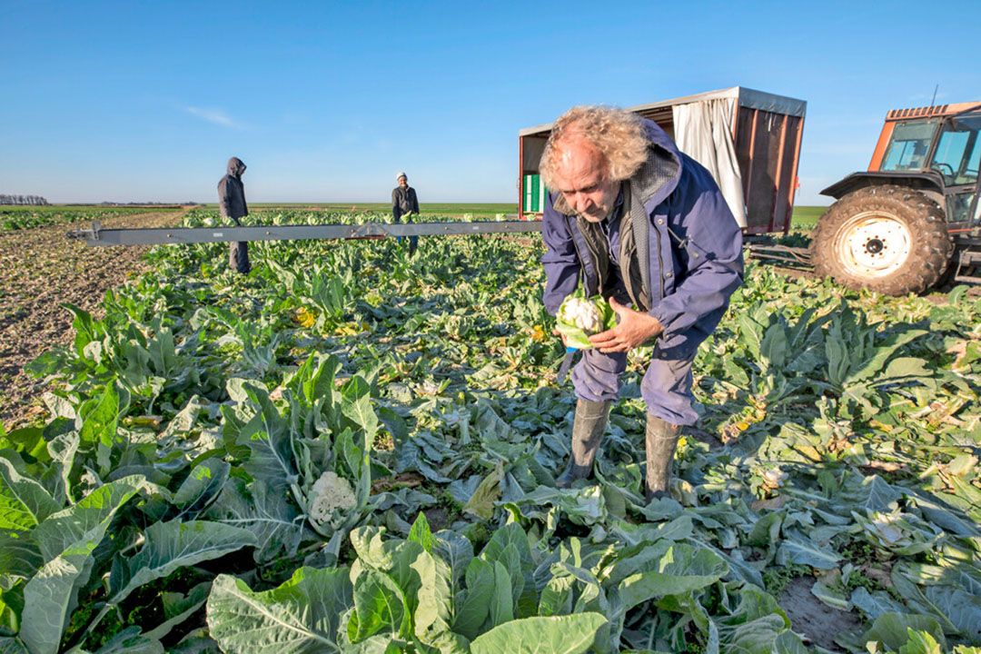 Foto: Anne van der Woude