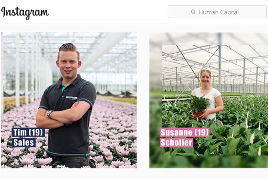 De Instagram pagina van het  project om scholieren te interesseren in de tuinbouw. -Afbeelding: Go Go Greenhouse