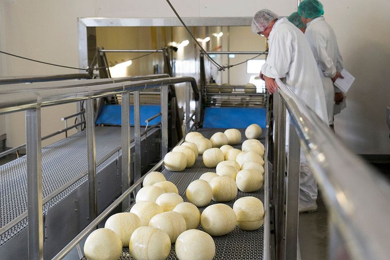Door een nog steeds stijgende kaasconsumptie blijft de vraag naar melk als grondstof binnen de EU licht stijgen. - Foto: Jan Willem van Vliet