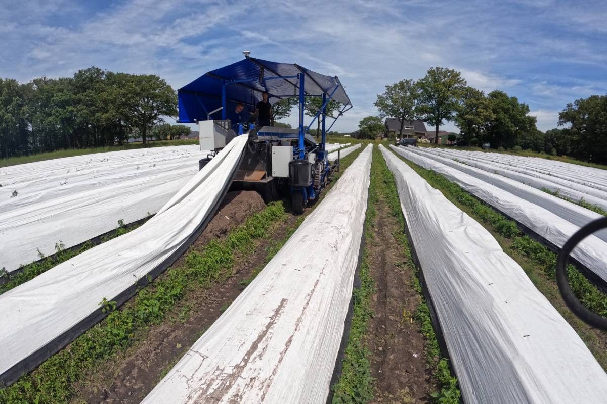 Met het prototype van de aspergeoogstrobot Lommers zijn veel testen uitgevoerd. Foto: Lommers Tuinbouwmachines