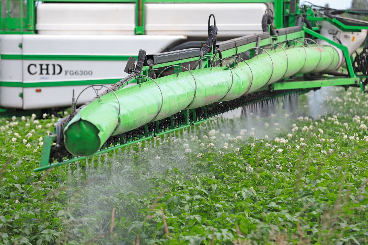 Spuiten van gewasbeschermingsmiddelen in een perceel aardappelen. Foto: Hans Prinsen
