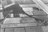 Westland in 1980. We nemen afscheid van de generatie tuinders van wie wij het vak hebben geleerd. Foto: ANP