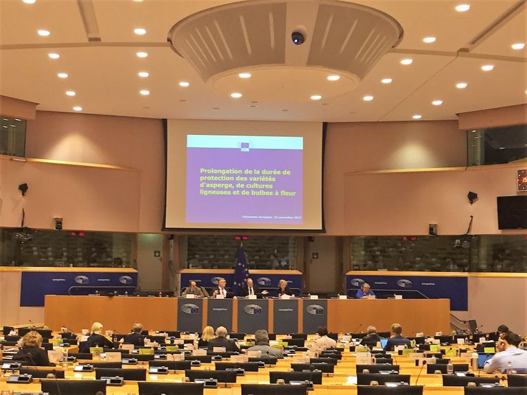 De landbouwcommissie van het Europees Parlement in zitting over verlenging van het kwekersrecht - Foto: Plantum