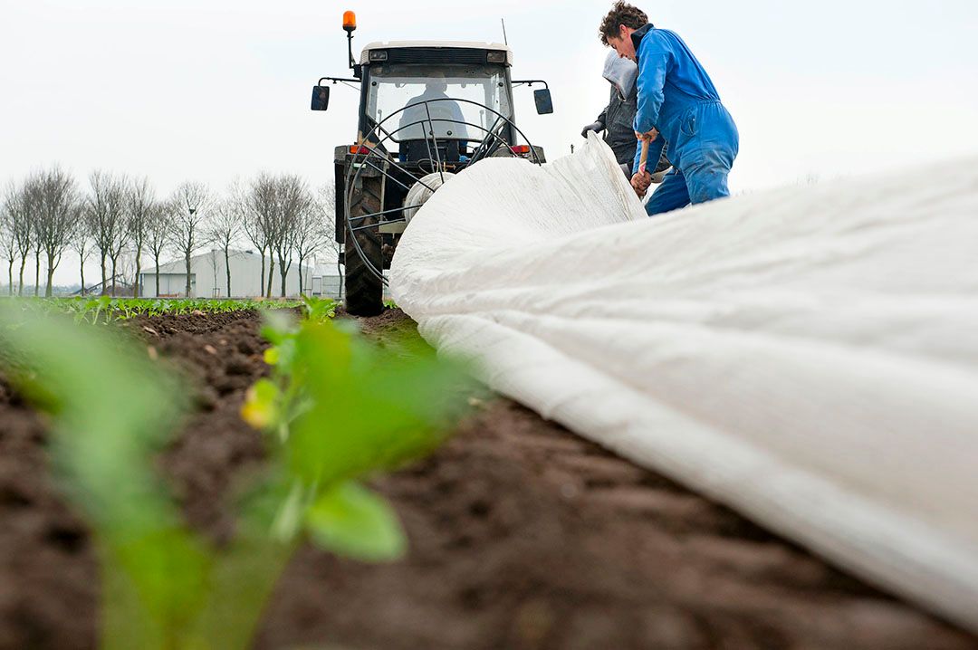 Foto: Fotostudio Wick Natzijl