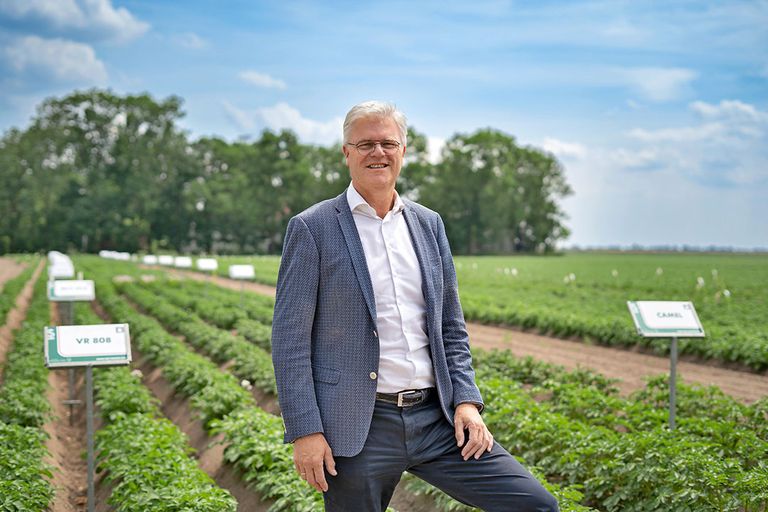 Aardappelhandelshuis Stet
