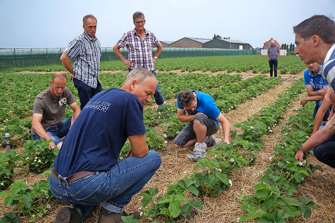 Foto's: Joost Stallen