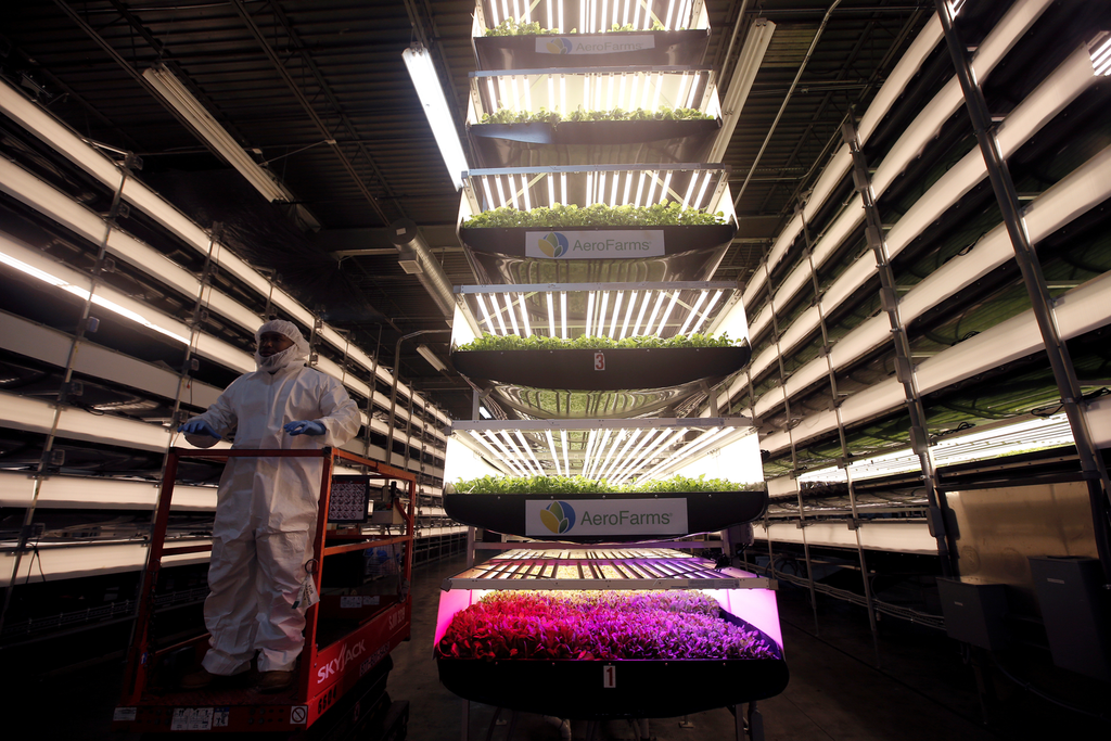 Vertical farming in een fabriek in Newark (VS).