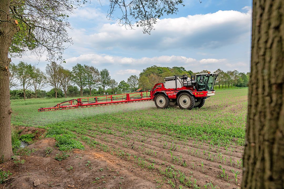 Onkruidbestrijding. Een uitspraak van de rechtbank Noord-Nederland maakt het gebruik van bestrijdingsmiddelen nabij Natura 2000-gebieden moeilijker. Deze foto is niet het Drentse Westerveld. - Foto: Michel Velderman