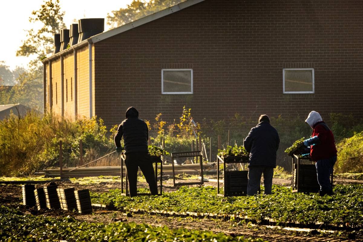 In Nederland kunnen arbeidsmigranten zich in de eerste vier maanden dat ze in Nederland werken, registreren als Niet-Ingezetene. In die periode is het zicht op de verblijfplaats en de leefomstandigheden van deze mensen beperkt. Foto: ANP