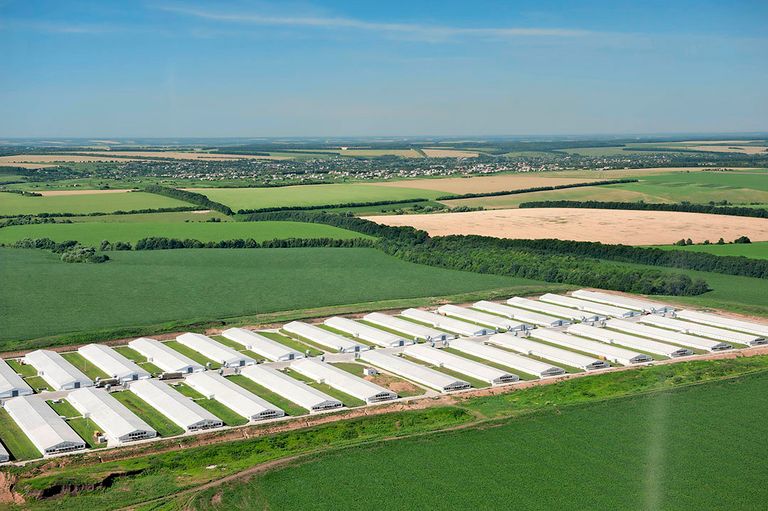 Vinnytsia Poultry Complex, een van de grootste productielocaties van MHP in Oekraïne. - Foto: MHP