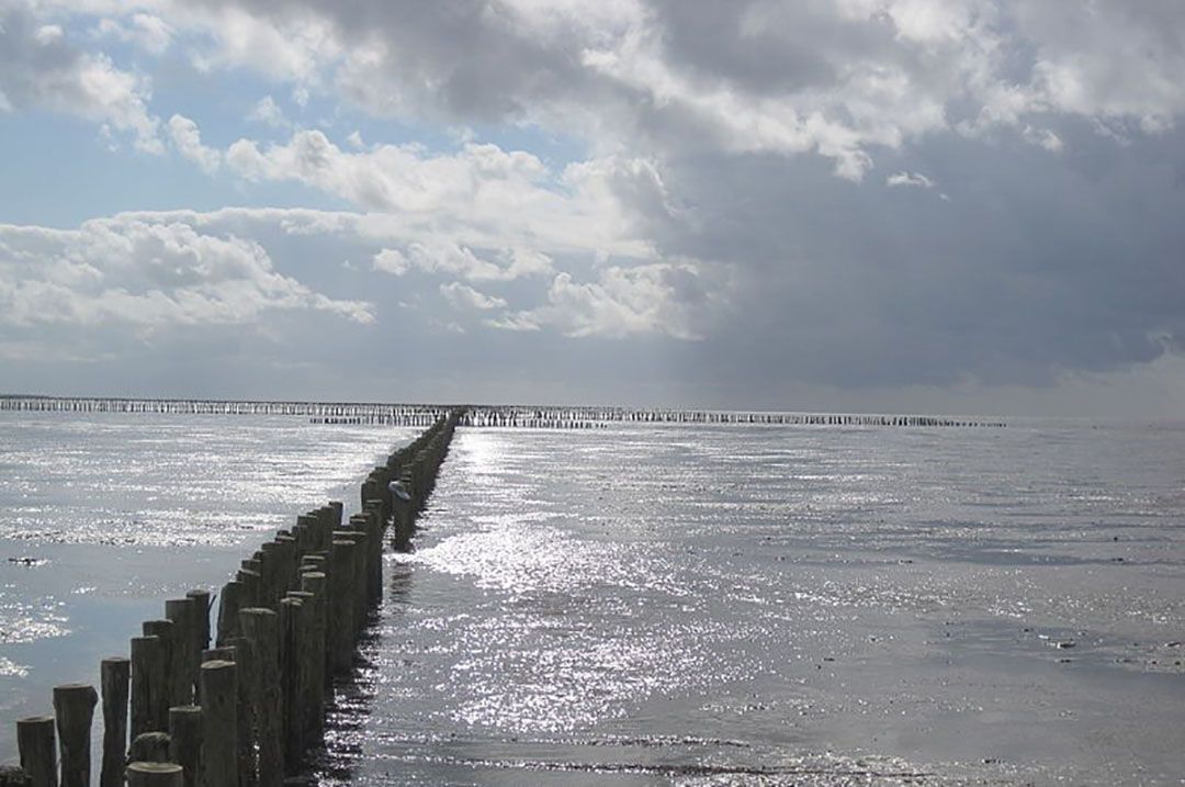 Archieffoto van de wadden. Glasgebied Waddenglas grenst aan de kust en profiteert zo al direct van warmte in de winter en koelte in de zomer.