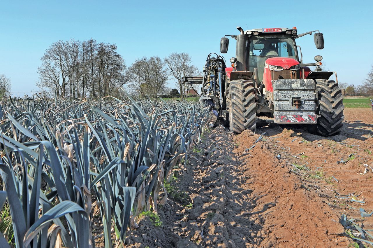 De teelt draagt nog maar voor 8% bij aan verspilling. Eerdere schattingen gingen uit van 15%. Foto: Fotostudio Atelier 68