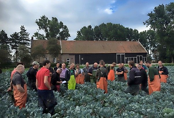 Foto: Maurits van der Hout
