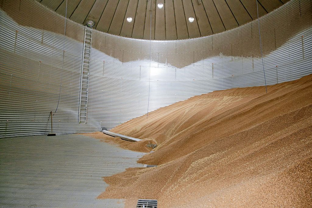 Graan in opslag. Het aanbod graan op de fysieke markt is rustig, mede omdat telers de graan prima in opslag hebben zitten. - Foto: Ronald Hissink