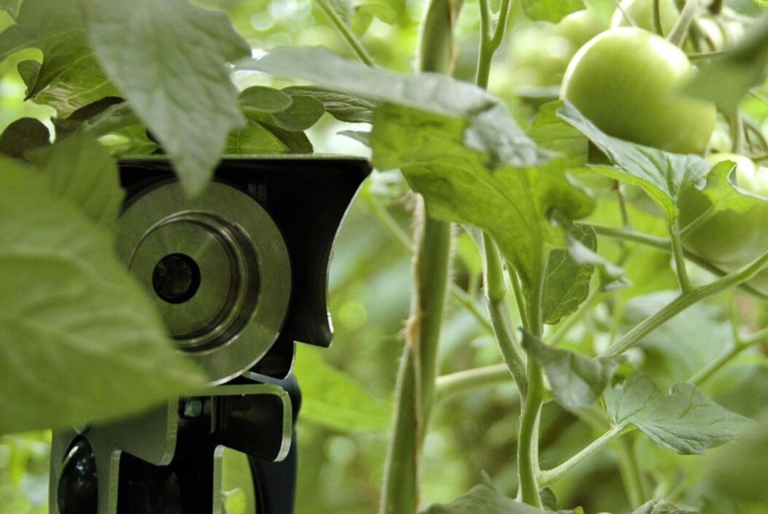 Data die wordt verzameld in de teelt is vaak het eigendom van de leverancier van sensoren of machines. - Foto: Peter Visser