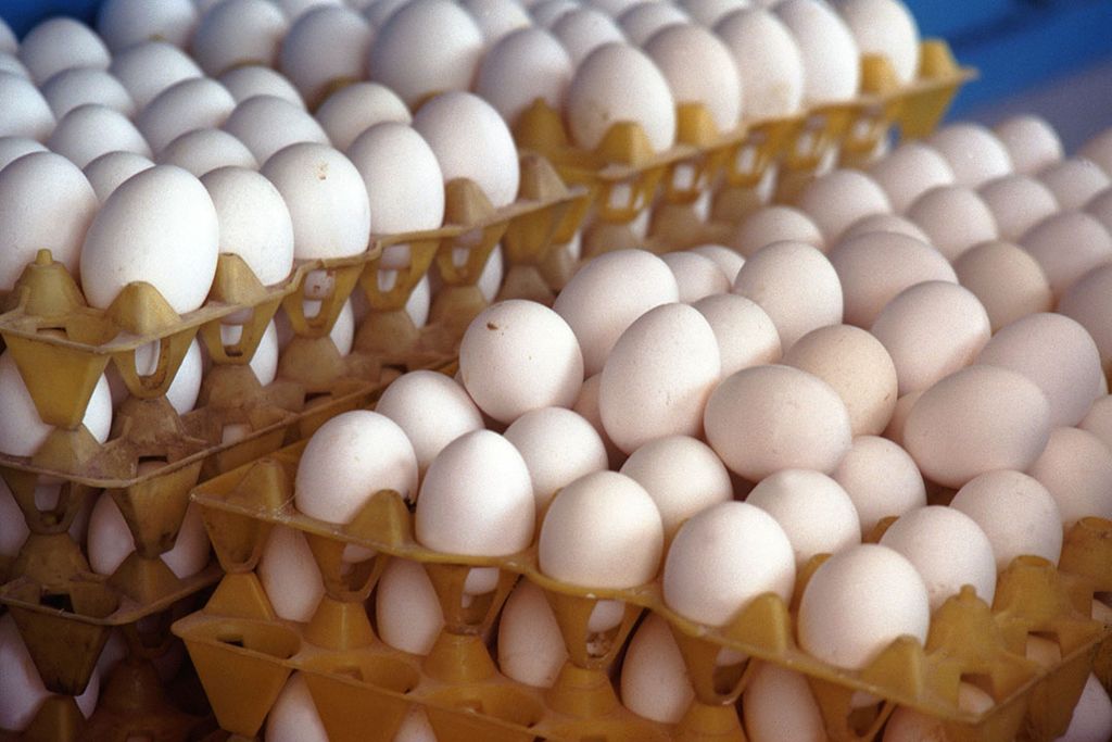 afschaffen kooi-eieren Australië