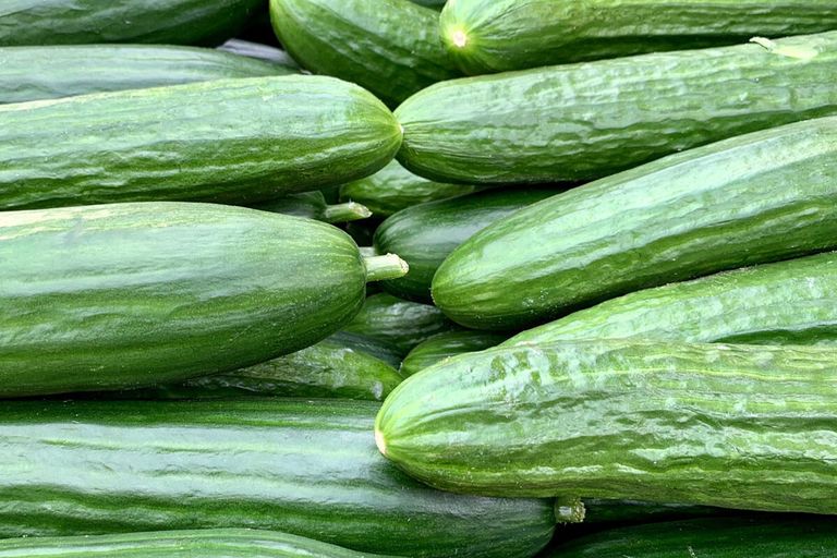 BelOrta verwacht dat de opleving van de Belgische prijs voor komkommer niet eenmalig is. - Foto: Canva/Matthias Zomer van Pexels