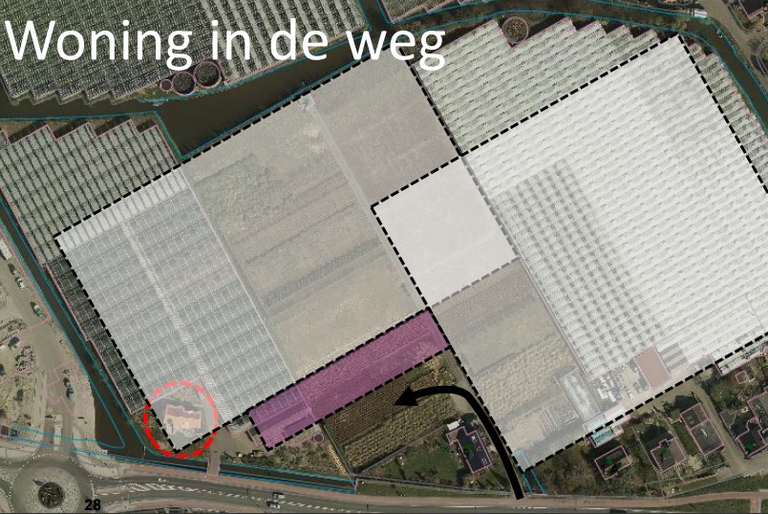 In Westland liggen tuinbouwpercelen braak in afwachting op herstructurering