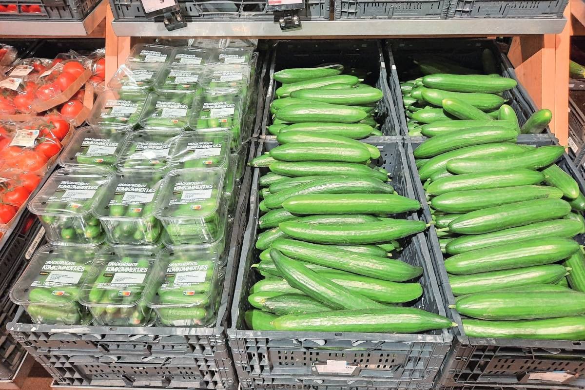 Gewone en snackkomkommers in winkelschap van Jumbo. Foto: Harry Stijger