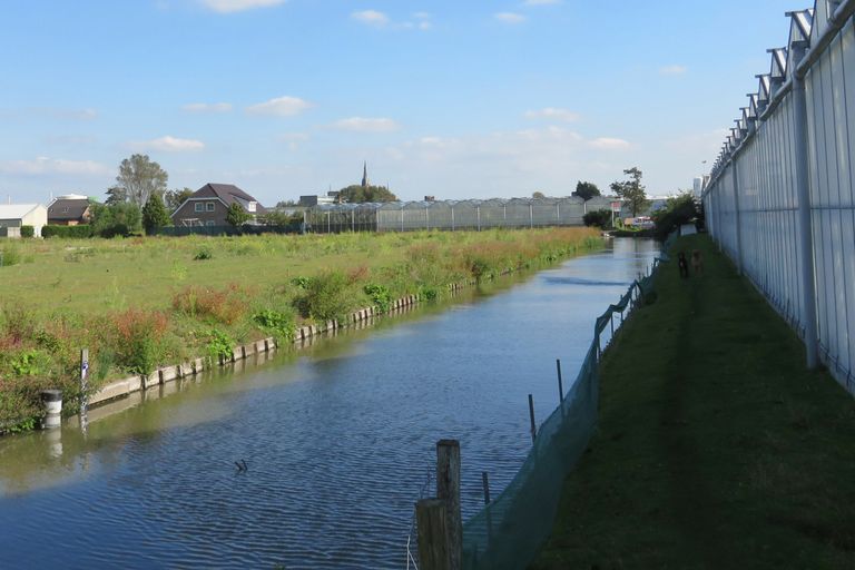 Woningen tussen kassen in het Westland - Foto: Ton van der Scheer