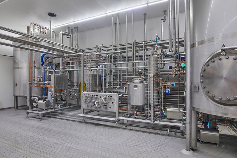 The Protein Brewery werkt, in tegenstelling tot veel andere spelers, niet met gisten, maar met de filamentachtige schimmel. Foto: Protein Brewery