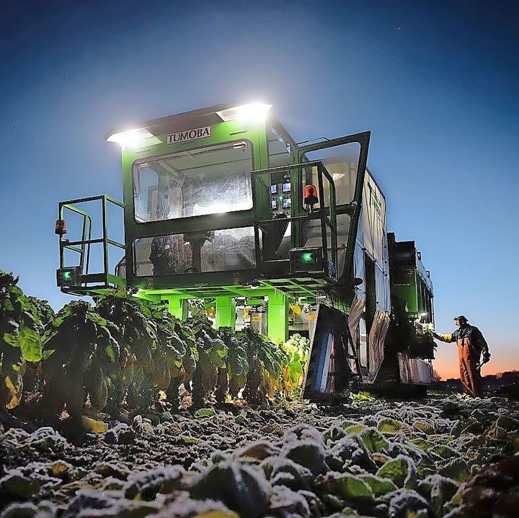 Tumoba is gespecialiseerd in de ontwikkeling en productie van oogstmachines voor met name voor spruitkool, babyleaf, sla, broccoli en kool - Foto: Mark Pasveer.