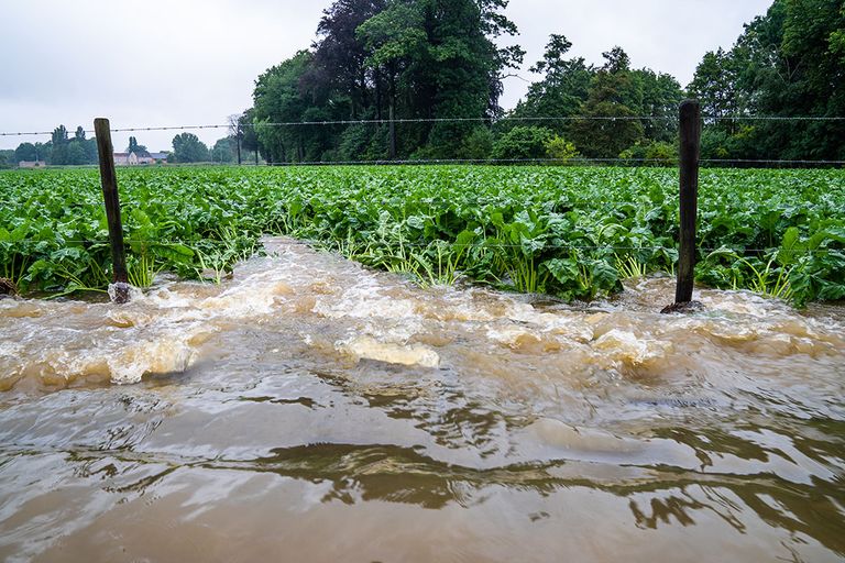 Wateroverlast door extreme hoosbuien in Zuid-Limburg, juli 2021. - Foto: Bert Jansen