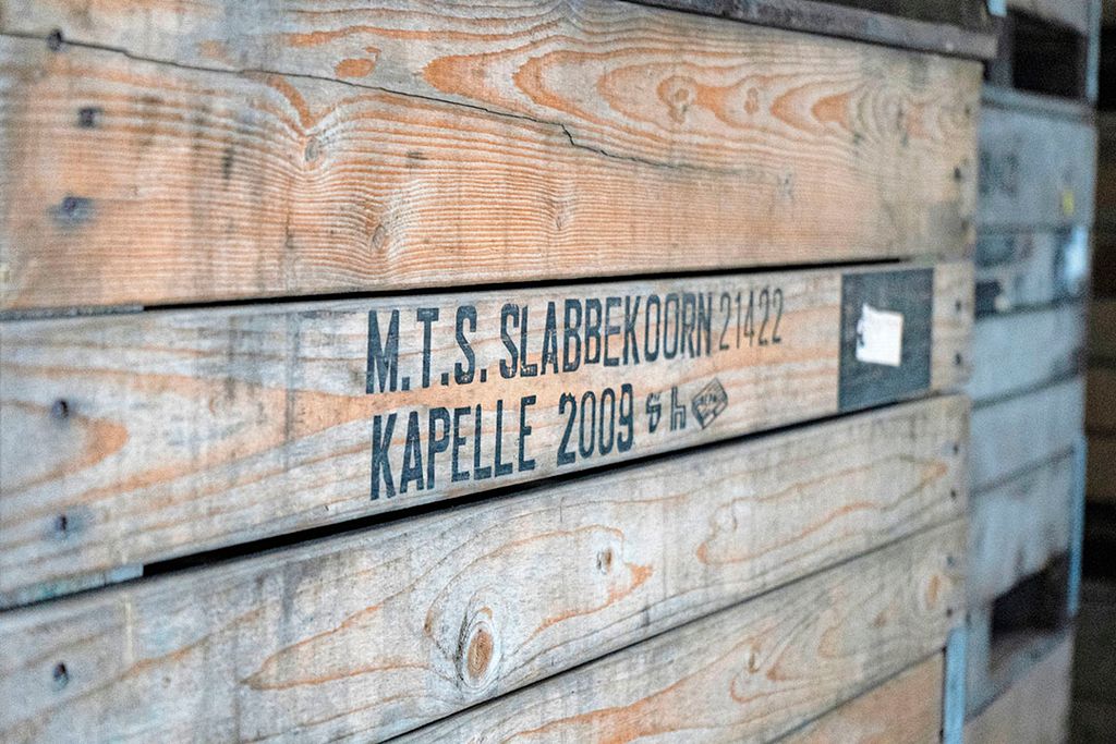Maatschap Slabbekoorn in het Zeeuwse Kapelle doet dit jaar mee met de Nationale Proeftuin Precisielandbouw (NPPL). - Foto: Stadje Media