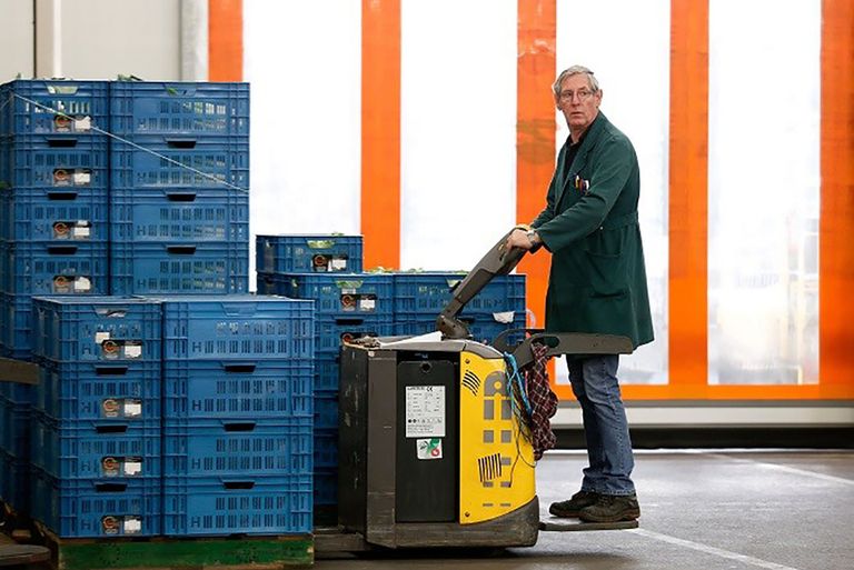 Op veiling Zaltbommel wordt geveild voor horeca en winkels. Prijsvorming is gekoppeld. Foto: ANP BAS CZERWINSKI