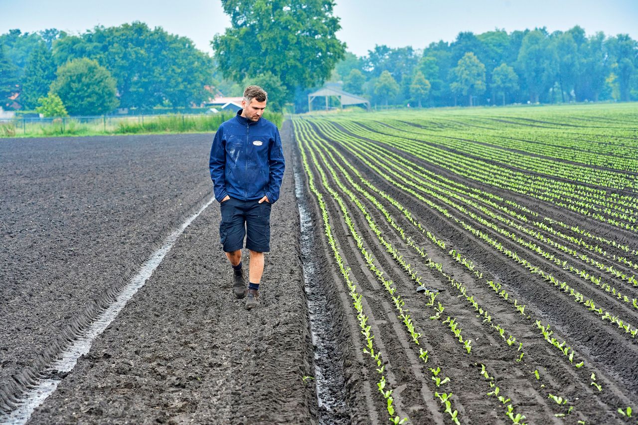 Marcel Claasse: “Alle contracten met alle afnemers invullen is dit jaar een hele puzzel.” – Foto’s: Van Assendelft Fotografie