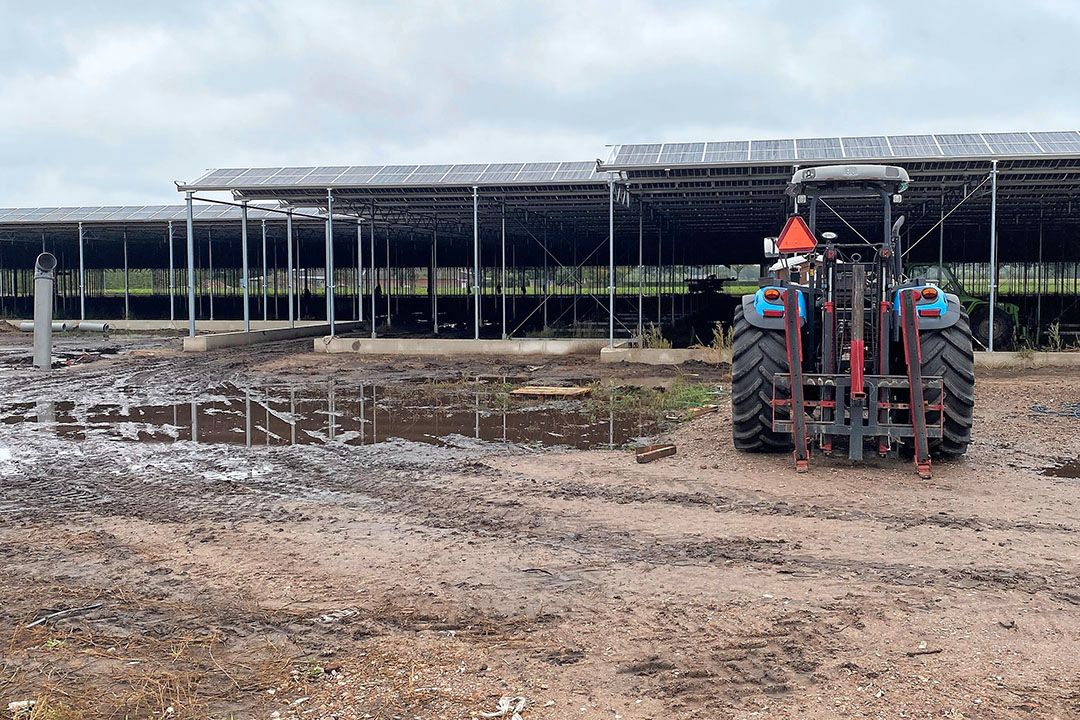 Zonnepanelen op kas. - Foto: ProfiNRG