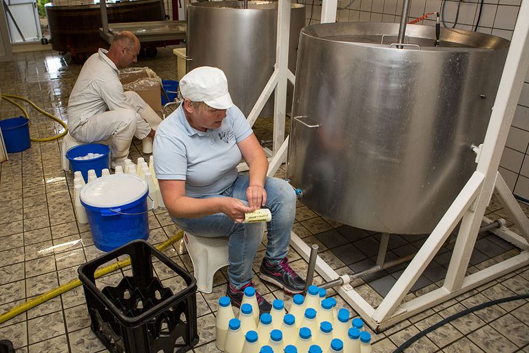 De groei komt voornamelijk door de groei van zelfzuivelaars. Foto: Peter Roek