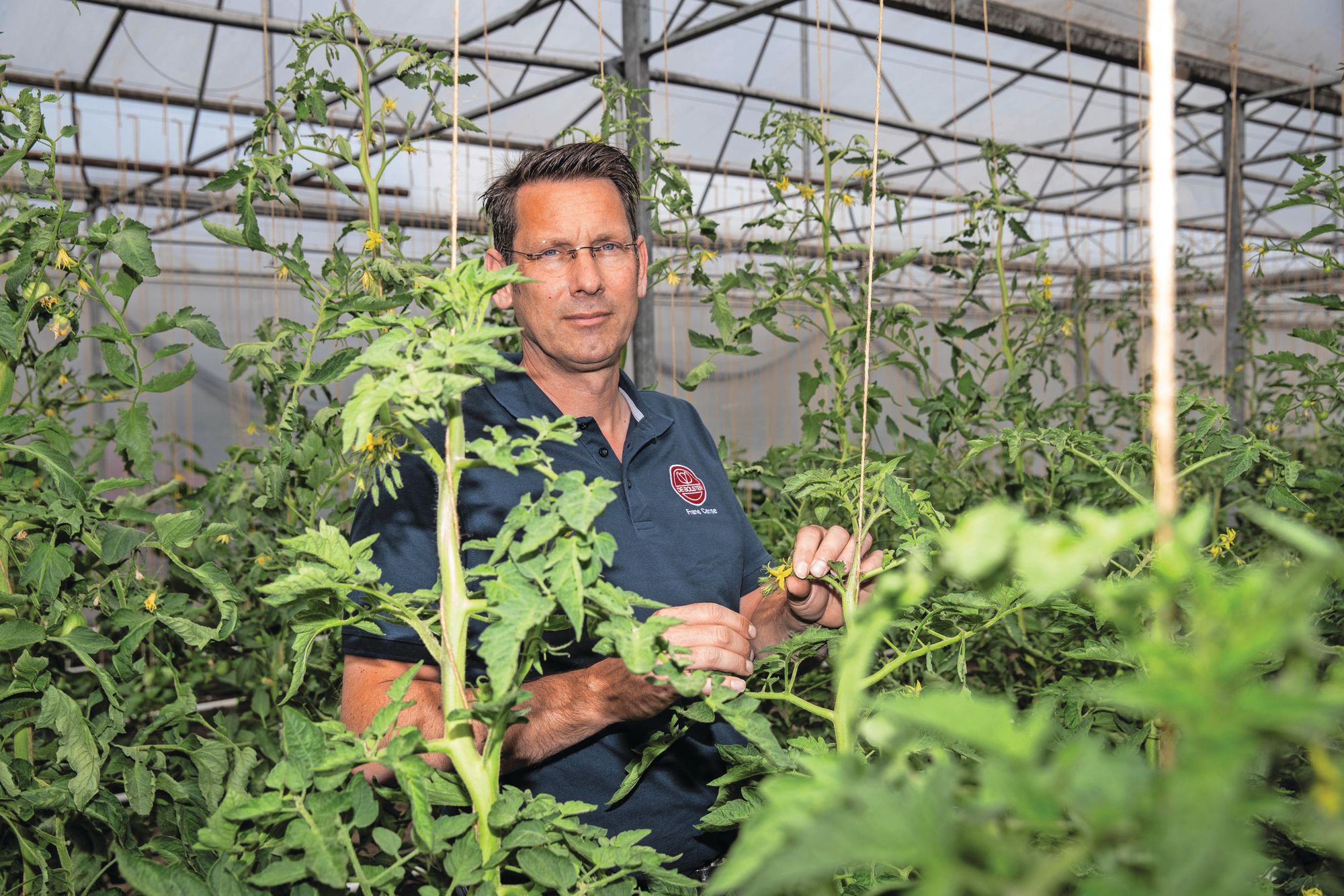 Frans Carree is hoofd veredeling bij De Bolster. Foto: Ronald Hissink