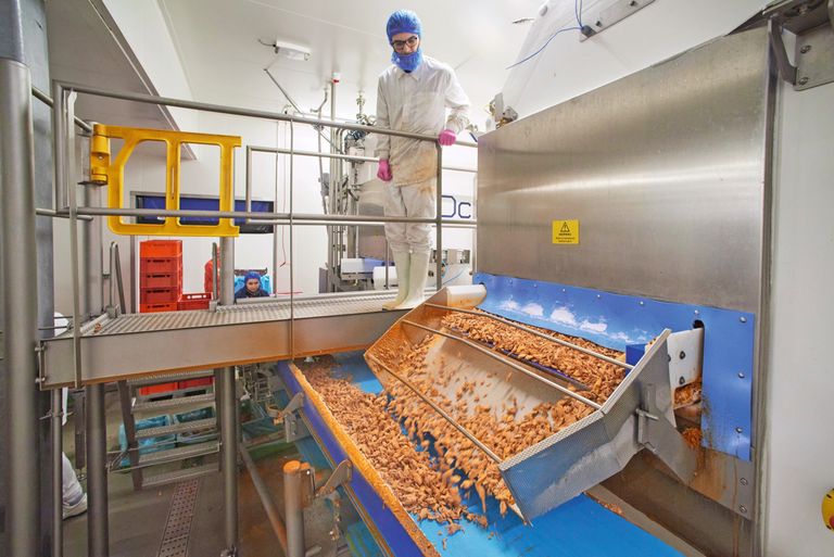 LiveKindly Collective produceert vleesvervangers onder het eigen merk en private label. Het bedrijf is als een van de eerste winstgevend. Foto: Van Assendelft Fotografie