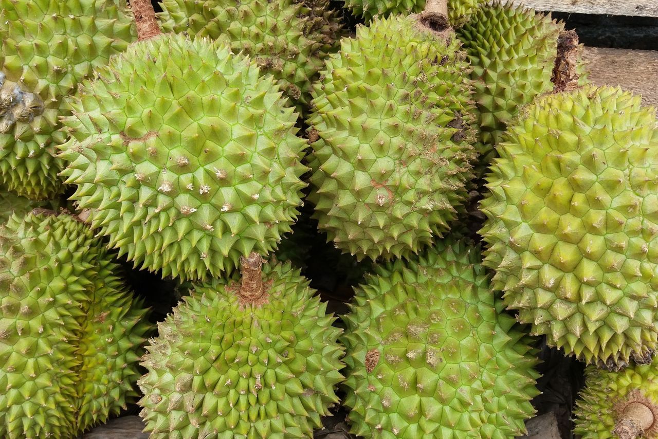 Hoe kan een vrucht die (naar horen zeggen) in rijpe toestand juist een misselijkmakende geur verspreidt en ook nog eens best prijzig is, zo goed verkopen? Foto: Canva