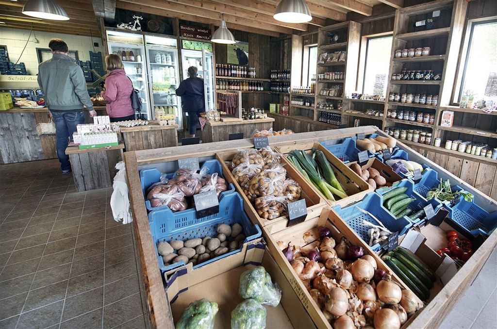 80% van de ondervraagde consumenten zijn bewust bezig met hun consumptiepatroon als het gaat om het kopen van seizoens- of scharrelproducten. - Foto: ANP