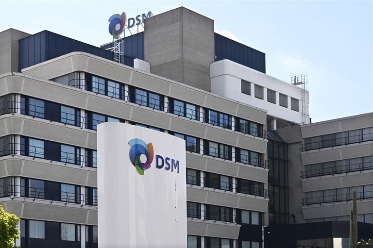 DSM Foundation Earth