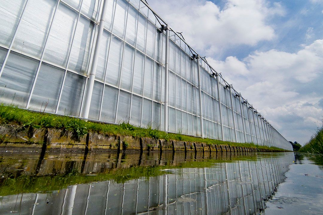 Glastuinbouw Brabant